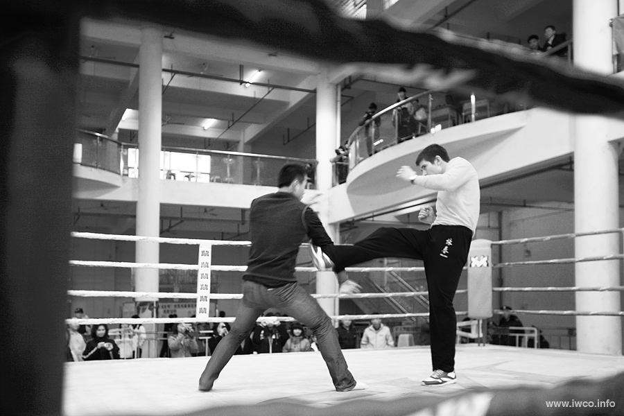 Ip Man Cup 2012, International Wing Chun Organization, Russian Wing Chun Federation, Grande Master Donald Mak, Si Fu Anatoly Beloshchin, IWCO,  ving tsun