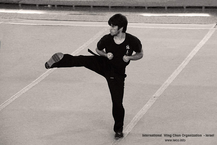 International Wing Chun Organization Israel