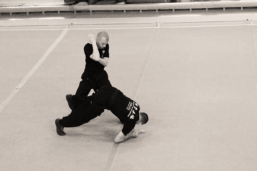 International Wing Chun Organization Israel